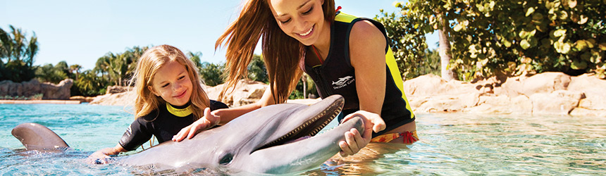 Discovery Cove Orlando Theme Park  Best Discount Dolphin Swim Package