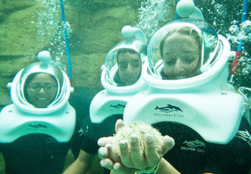 Discovery Cove Orlando Florida