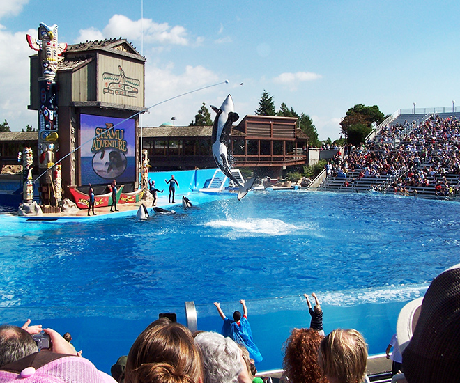 SeaWorld Orlando