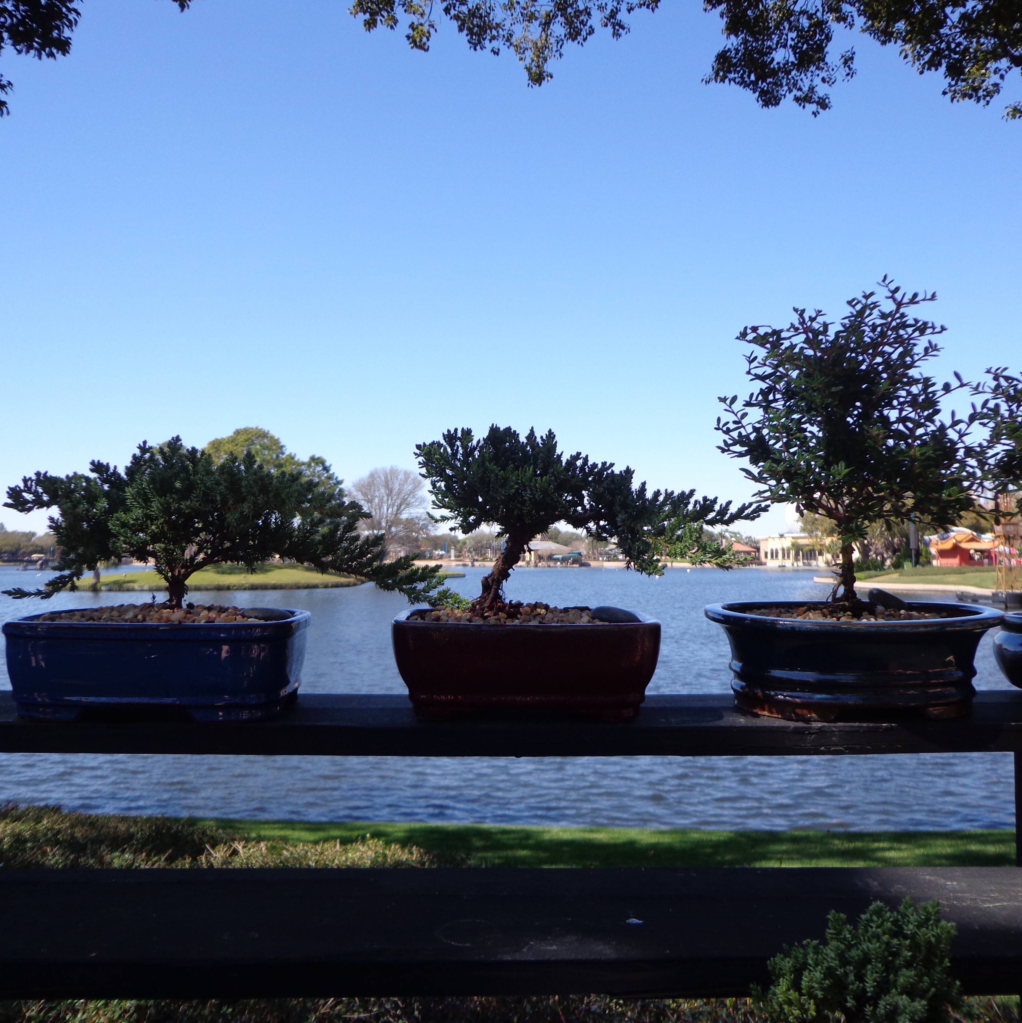 Festival Internacional de Jardínes y Flores de Epcot 