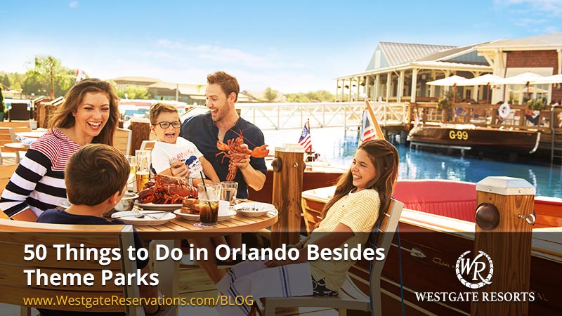 The Best Theme Parks in Orlando By Age Group