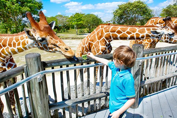 Brevard Zoo near Cocoa Beach