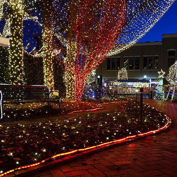 Silver Dollar City