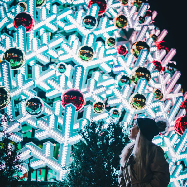 Ripley's Aquarium Festival of Trees