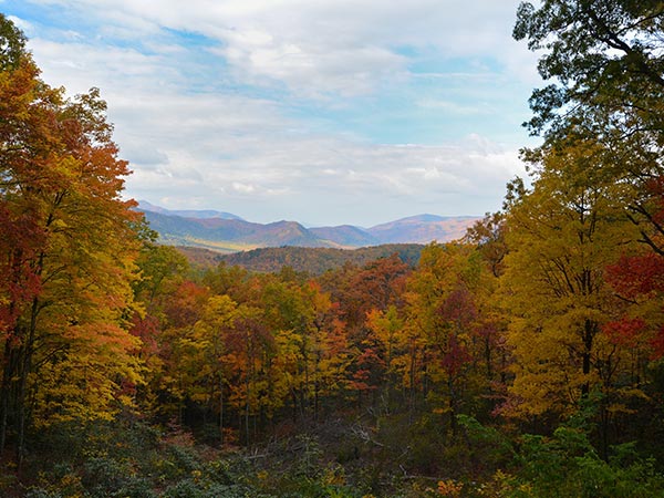 accion de gracias en gatlinburg