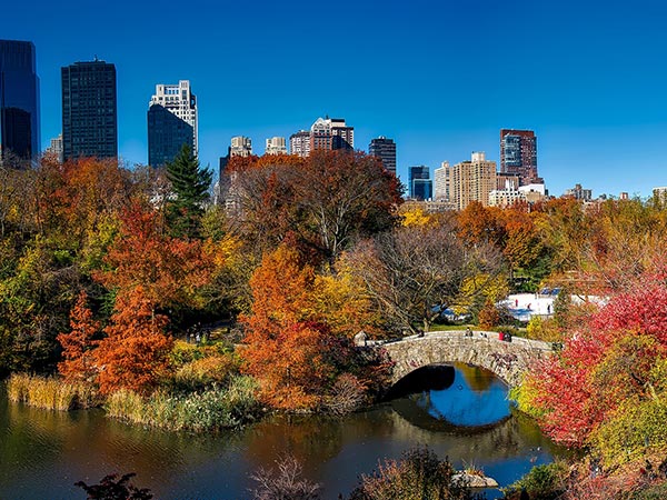 thanksgiving in new york city