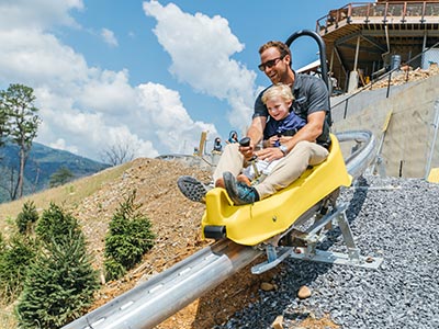 Anakeesta Mountain Coaster