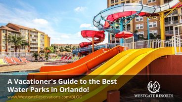 A Vacationer's Guide to the Best Water Parks in Orlando!