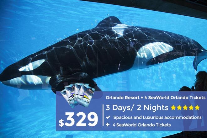 Seaworld Vacation Packages View Resort Discount Tickets Deals