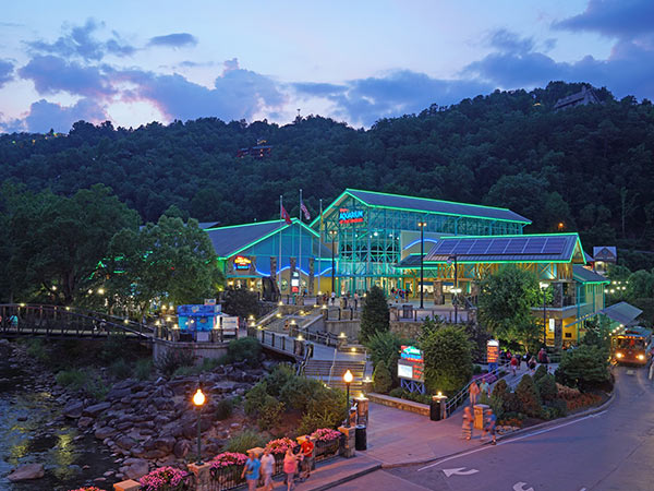 Ripley's Aquarium of the Smokies | Things to Do in Pigeon Forge with Kids