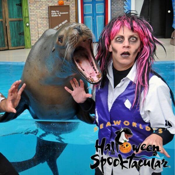 SeaWorld Orlando Halloween Spooktacular