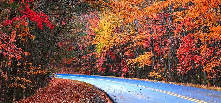 There’s still time to experience Gatlinburg’s fall colors! - Westgate ...