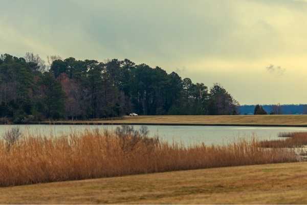 Jamestowne Island Drive Virginia