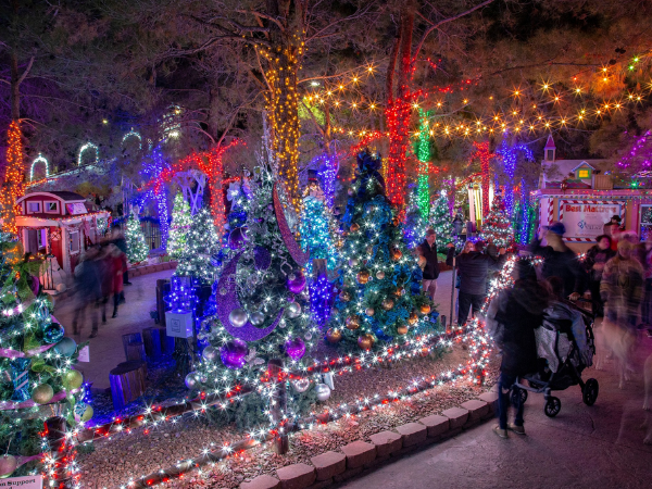 Magical Forest at Opportunity Village | Las Vegas Christmas Holiday Activities and Events in 2022 | Things to Do in Las Vegas