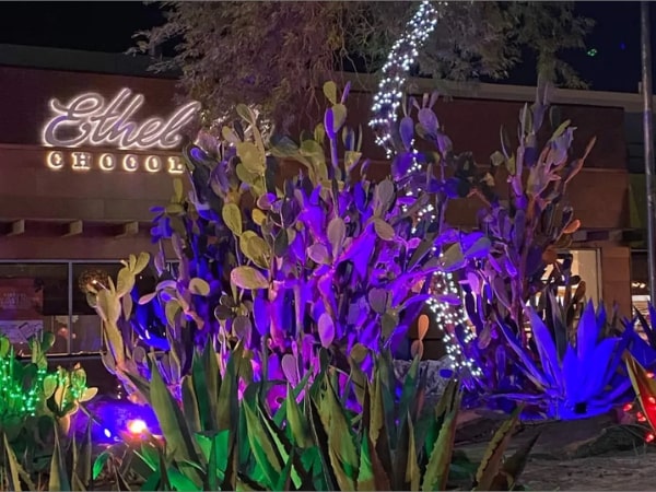 Holiday Cactus Garden Lights Las Vegas | Actividades y Eventos Navideños de Las Vegas en 2022 | Cosas que hacer en Las Vegas
