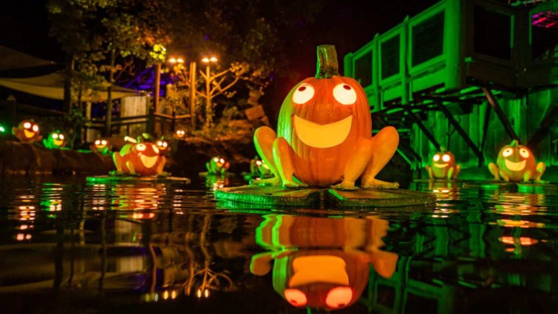 Dollywood's LumiNight Festival | Frog Carved Pumpkins