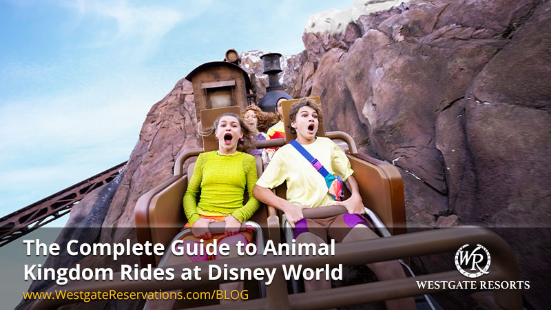 2023 Disney World Christmas Complete Guide