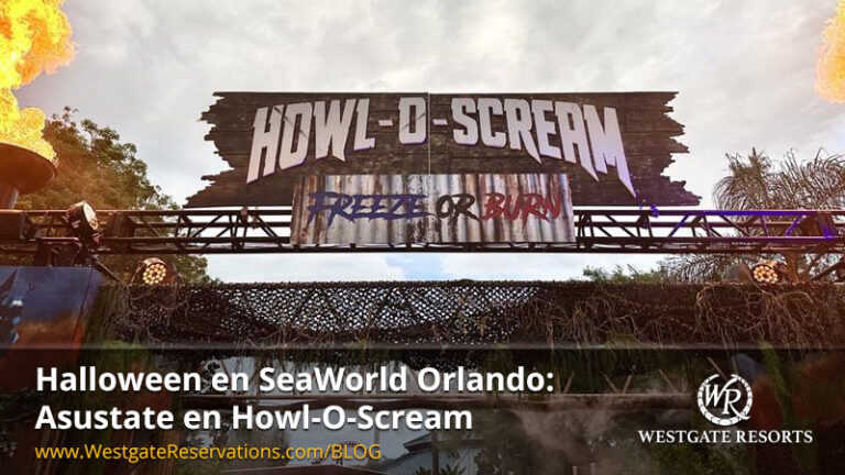 Halloween at SeaWorld Orlando: Asustate en Howl-O-Scream