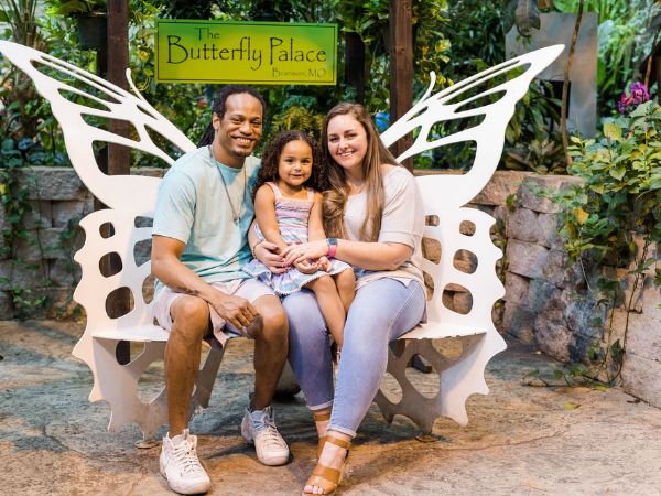 The Butterfly Palace & Rainforest Adventure | Things to Do in Branson with Kids