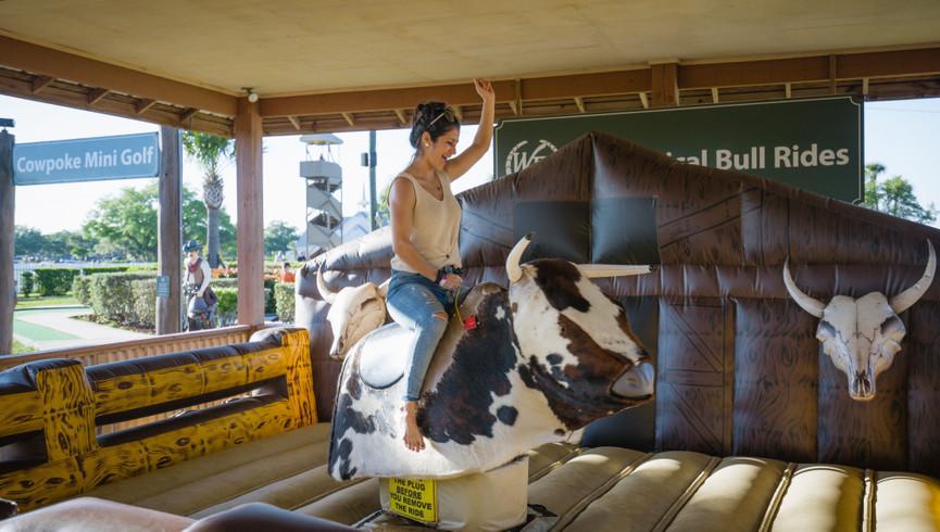 Mechanical bull