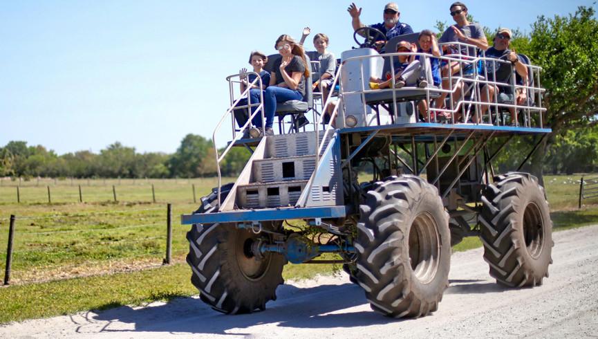 Swamp Buggy Rides