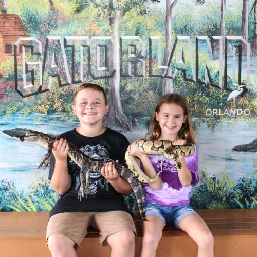 Up-Close Encounters at Gatorland