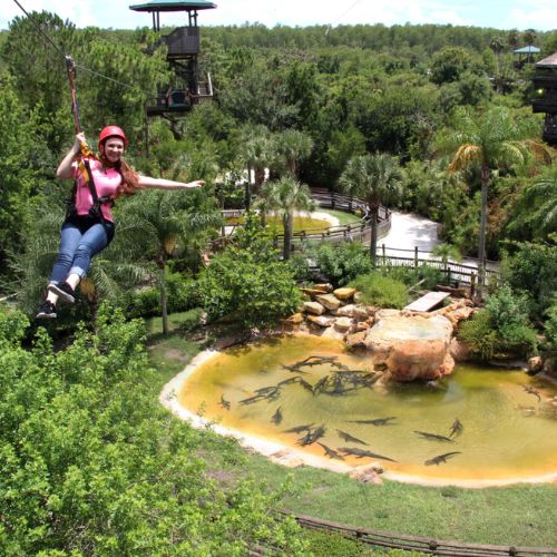 Screamin’ Gator Zip Line at Gatorland