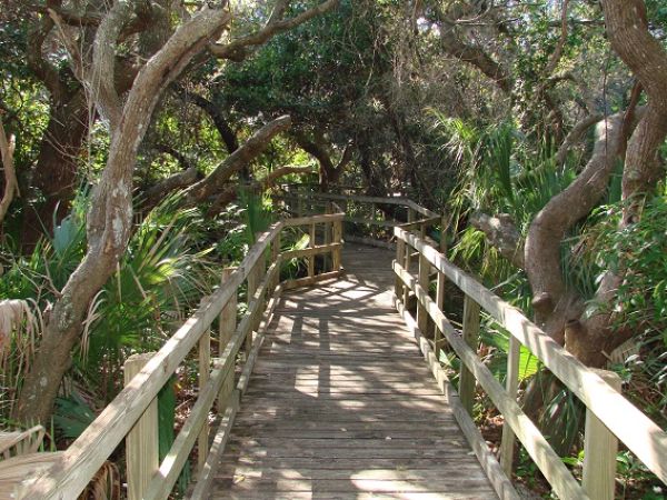 Lori Wilson Park | Things to Do in Cocoa Beach