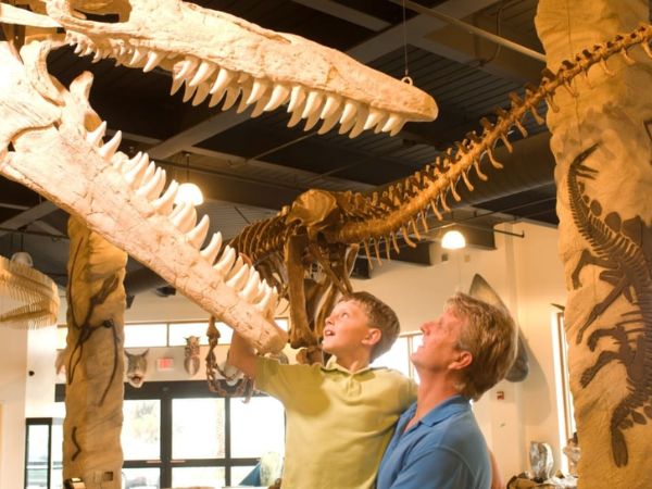 The Dinosaur Store | Things to Do in Cocoa Beach